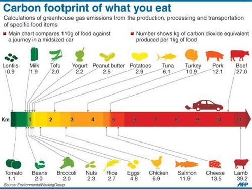 carbon footprint
